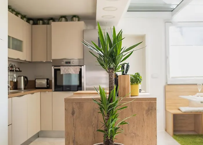 Isolana Center Rooftop Terrace 아파트 *